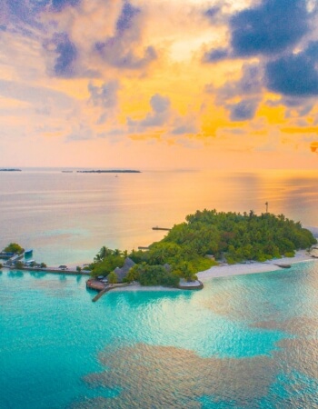 Palace of Versailles